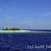 island_ari_h_0040_mal1097.jpg